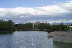 WL9425677   