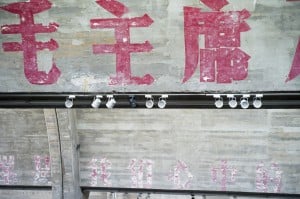 WL9426010  