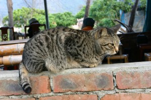img7946 