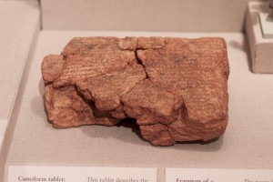 WL1004285