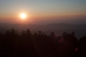 WL1003268
