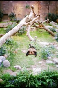 img08   