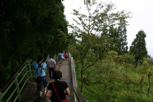 img0336
